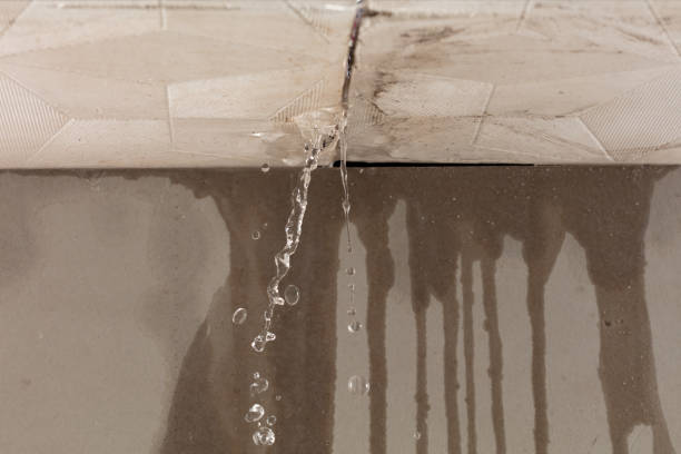 Professional Commercial Water Damage Restoration technician working in Little Falls, MN